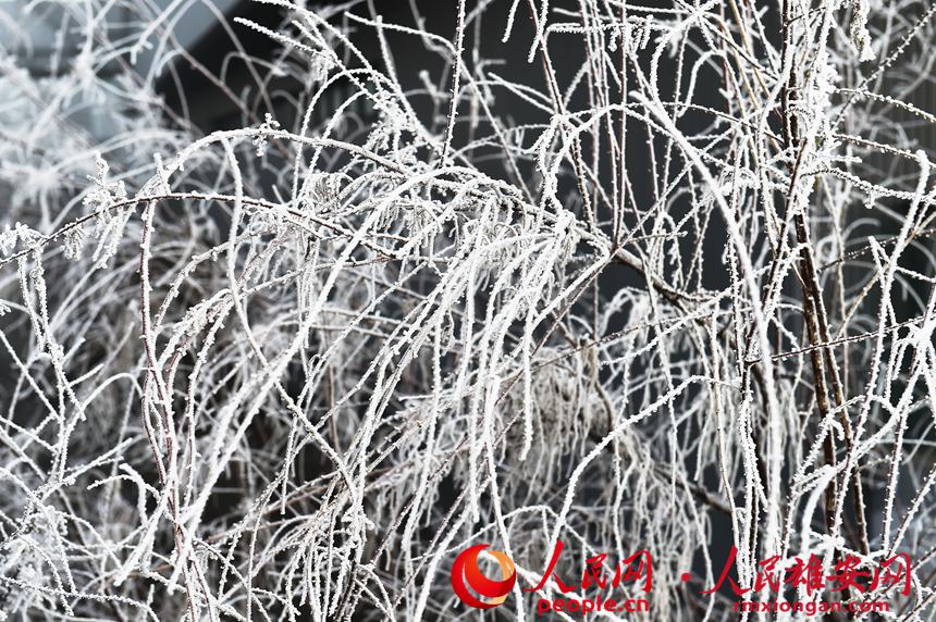 013dddff4b3ea861f7393199c533deb3_LOCAL202201081817000171982864441.jpg 013dddff4b3ea861f7393199c533deb3_LOCAL202201081817000171982864441.jpg