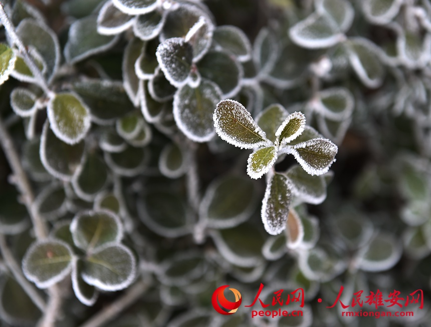 2ce0677a39473bc54f847ee367564111_LOCAL202201081817000238022452869.jpg 2ce0677a39473bc54f847ee367564111_LOCAL202201081817000238022452869.jpg