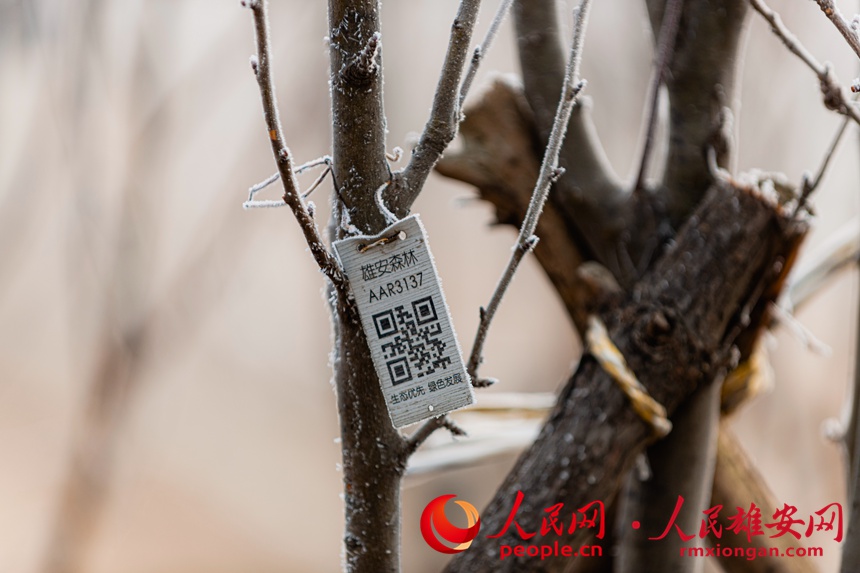 a24b9244a73c1e683d6ece80c9dd838f_LOCAL202201081817000231329006661.jpg a24b9244a73c1e683d6ece80c9dd838f_LOCAL202201081817000231329006661.jpg