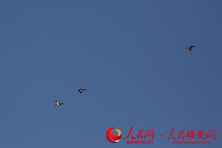 c3a0bdcc4e0a98ef4d921abc77ea60fb_LOCAL202202122111000368431918355.jpg c3a0bdcc4e0a98ef4d921abc77ea60fb_LOCAL202202122111000368431918355.jpg