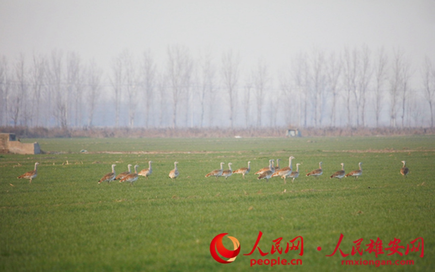 9cc35700b71231774751faca036a0e74_LOCAL202202122111000335840086950.jpg 9cc35700b71231774751faca036a0e74_LOCAL202202122111000335840086950.jpg