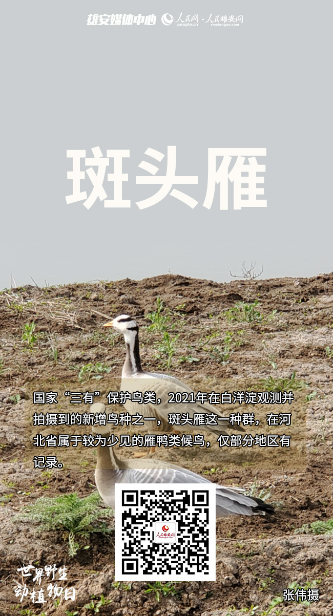 d501712408664ab96935bd6c0ab5fbda_LOCAL202203030951520770063288120.jpg d501712408664ab96935bd6c0ab5fbda_LOCAL202203030951520770063288120.jpg