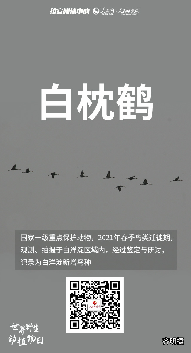 ebd36bdbf823c4fac09e8e533cf256ce_LOCAL202203030951514575344863948.jpg ebd36bdbf823c4fac09e8e533cf256ce_LOCAL202203030951514575344863948.jpg