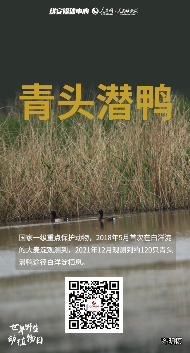 fb8299086228ff04e11fbc14a4fd231e_LOCAL202203030951512648764437564.jpg fb8299086228ff04e11fbc14a4fd231e_LOCAL202203030951512648764437564.jpg