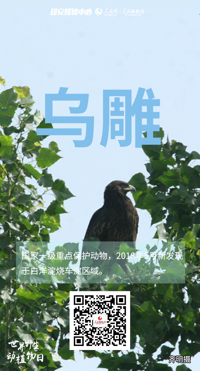 2a7f86f996616b52c295bd682c7d9887_LOCAL202203030951510960084914086.jpg 2a7f86f996616b52c295bd682c7d9887_LOCAL202203030951510960084914086.jpg