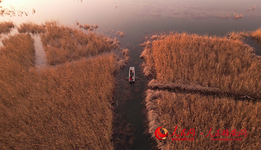 ce1891e17dd12009c35d368ce6c5f7a9_LOCAL202203061841000430139705122.jpg ce1891e17dd12009c35d368ce6c5f7a9_LOCAL202203061841000430139705122.jpg