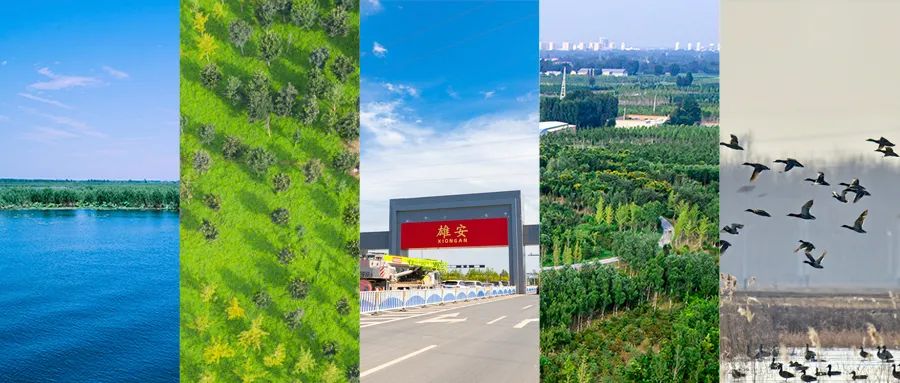 135f86e7f3685ec36a5b1ad676f05078_1211622619_16482664384181n.jpg 135f86e7f3685ec36a5b1ad676f05078_1211622619_16482664384181n.jpg