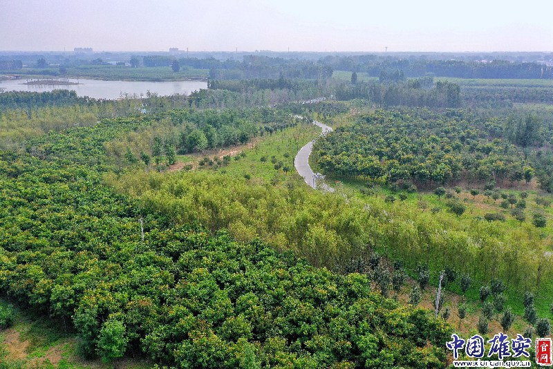 b595af9b75901398d80bea1694c32ee2_1211625969_16485364063751n.jpg b595af9b75901398d80bea1694c32ee2_1211625969_16485364063751n.jpg