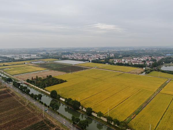 雙游村。受訪者供圖