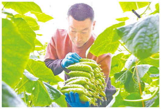 9d618051a455c76fad0a2b00aba25a8b_14_14_0456.jpg 9d618051a455c76fad0a2b00aba25a8b_14_14_0456.jpg