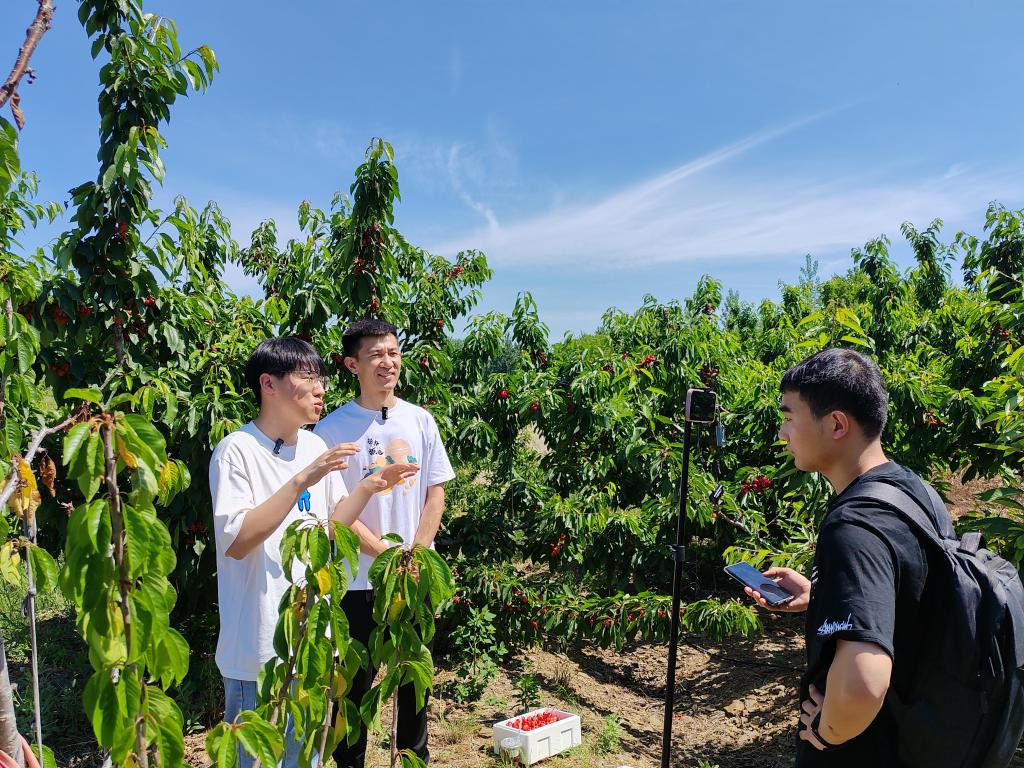 e7983ce8ca73233a7039e693e895f042_202306078651428daf2d4b6c8c9beeaee02fe6b6_2f241a74-f806-4723-a6d8-ef605c06f733.jpg e7983ce8ca73233a7039e693e895f042_202306078651428daf2d4b6c8c9beeaee02fe6b6_2f241a74-f806-4723-a6d8-ef605c06f733.jpg