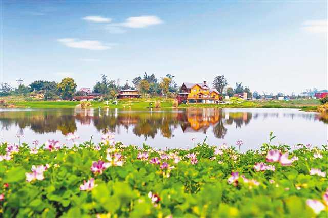 caa9ffe3a073e92d302d51e237faeab2_2023-07-03-0042.jpg caa9ffe3a073e92d302d51e237faeab2_2023-07-03-0042.jpg