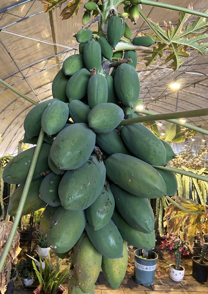 66d3bc150369b06766c34aff7639cb80_20240216e1f08708920147698338d92b5f722fdf_60937cd4d03642ac9d9d1a615550ea10.jpg 66d3bc150369b06766c34aff7639cb80_20240216e1f08708920147698338d92b5f722fdf_60937cd4d03642ac9d9d1a615550ea10.jpg