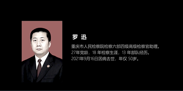 羅迅：大愛像蒲公英種子播灑群眾心間