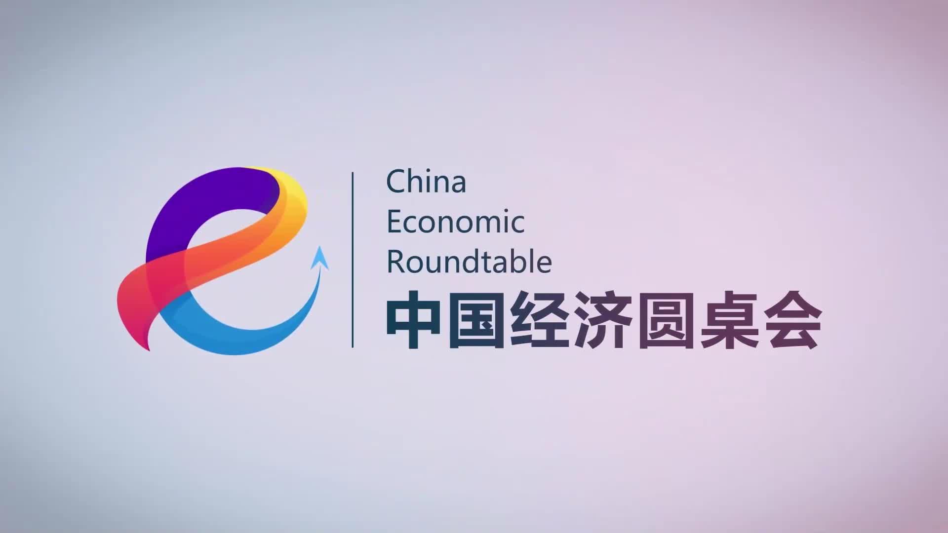 “中國經(jīng)濟(jì)圓桌會”共話民營經(jīng)濟(jì)促進(jìn)法出臺